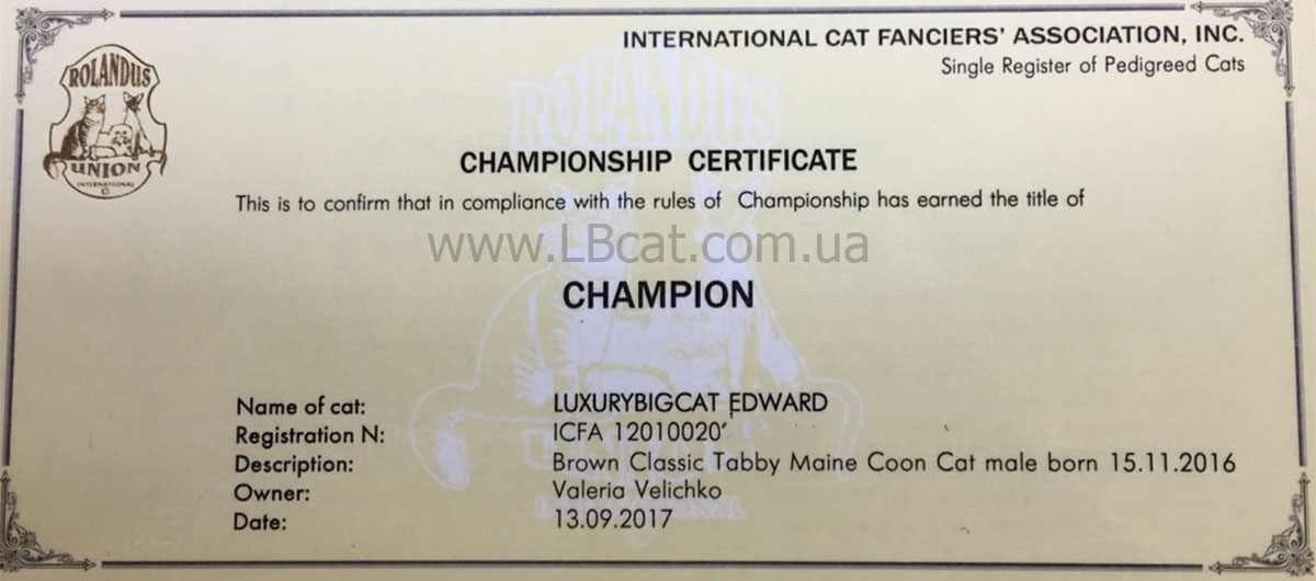 Edward champ